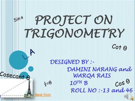 Image result for Class 10 Maths Trigonometry Project File