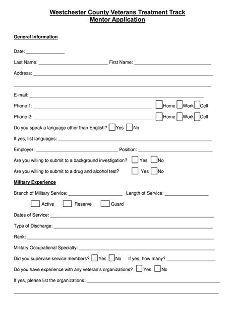 NY Veterans Treatment Track Mentor Application - Blank Fillable ...