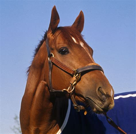 Why was Secretariat euthanized? | Britannica
