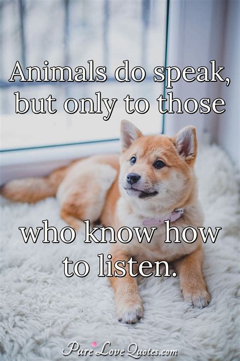 Animal Quotes