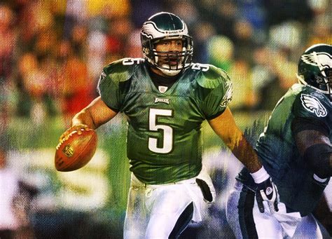 Donovan McNabb Stats | NFL Career, Season, and Playoff Statistics