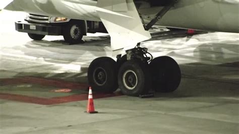 College student falls to her death moments after summiting Yosemite’s ...