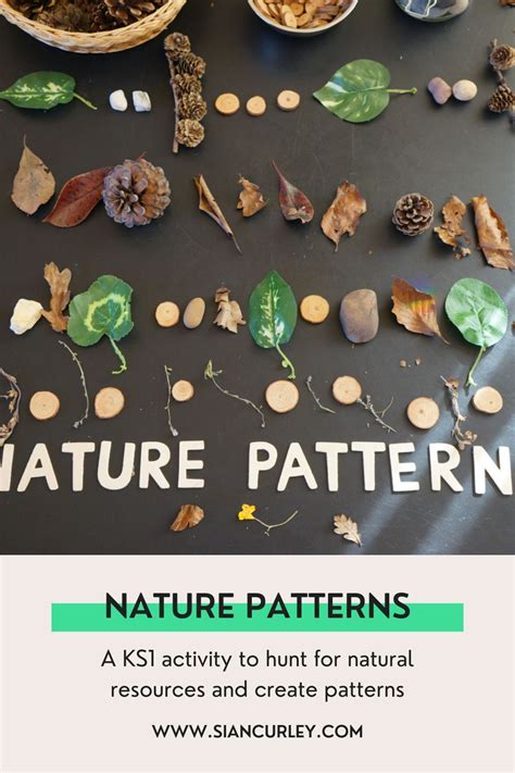 Math Patterns in Nature 的图像结果