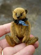 Image result for Teddy Bear Bunnies