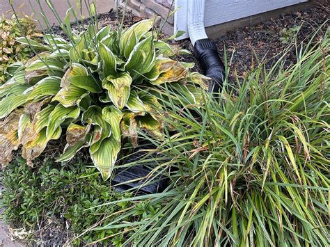 How to Downspout Extensions 的图像结果