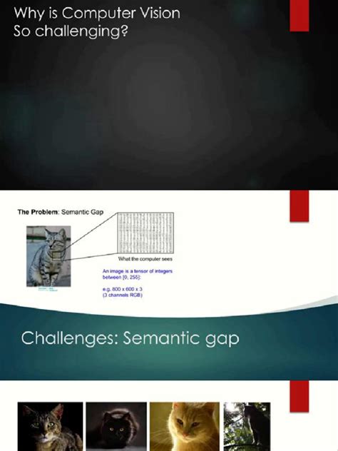 Computer Vision Challenges 的图像结果