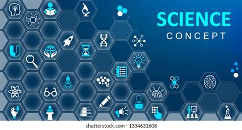 Knowledge Base Icon 的图像结果