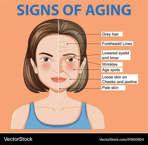 Ageing Signs Texture 的图像结果