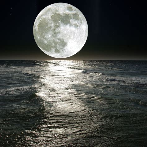 🌟 Wow! 4 out of 6 spots have already been claimed! 🌟 The rush for the ...