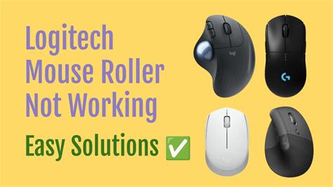 Fix Roller Mouse Problem 的图像结果