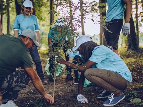 Help People 的图像结果