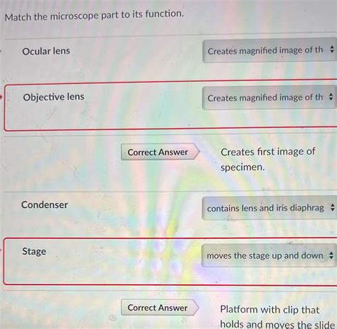 [Solved] Match the microscope part to its function. Ocular lens ...