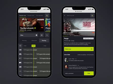 Image result for TV Program Guide Overlay