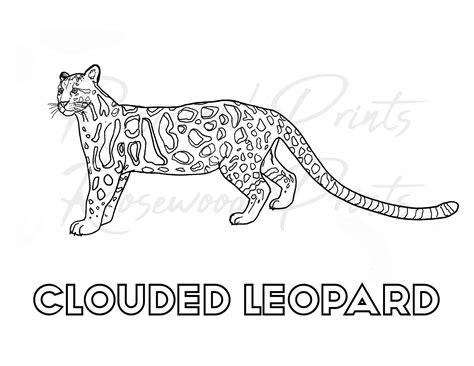 Leopard Coloring Pages