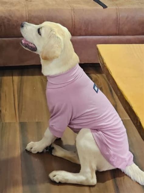 Furrocio – Stylish Dog & Cat Clothes | Denim Jackets, T-Shirts & More
