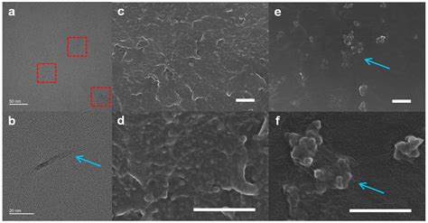 Preparation and Properties of Cyano-Functionalized Graphitic ...