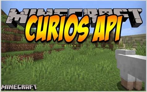 Image result for Curios API Integration