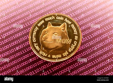 Image result for Crypto-Currency Doge Coin