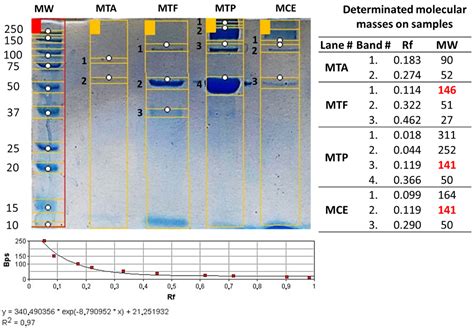 Characterization of a Lab-Scale Process to Produce Whole IgG Antivenom Covering Scorpion Stings ...