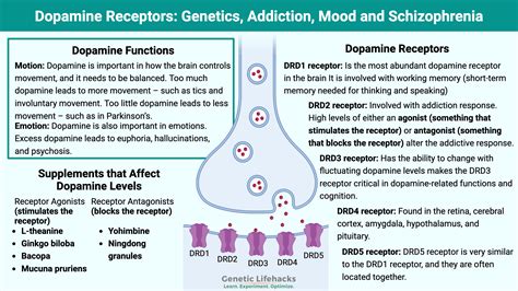 Serotonin Dopamine And Norepinephrine Are Examples Of