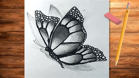 Image result for Butterfly Drawing Tutorial