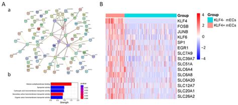 Decreased Expression of KLF4 Leading to Functional Deficit in Pediatric ...