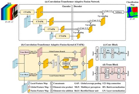 Convolution-Transformer Adaptive Fusion Network for Hyperspectral Image ...