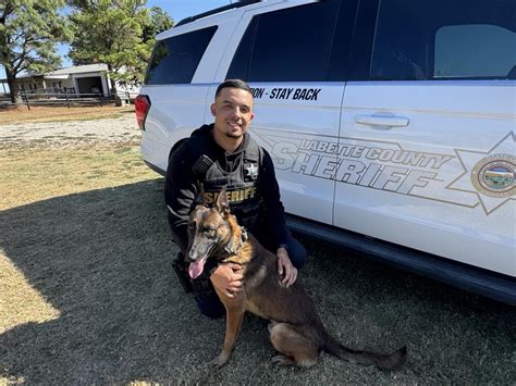 Sheriff's Office receives K-9 vest grant (10/28/2024) - Press Releases ...