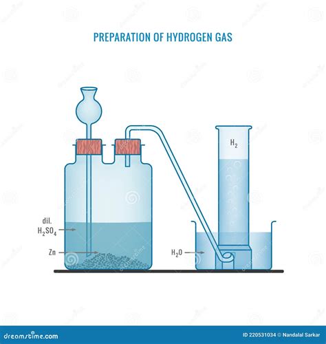 Preparation of Hydrogen Gas in Laboratory with the Help of Zinc and Sulphuric Acid Stock Vector ...