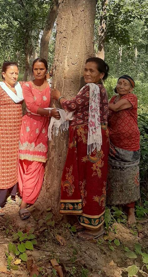 Image result for Chipko Movement Introduction