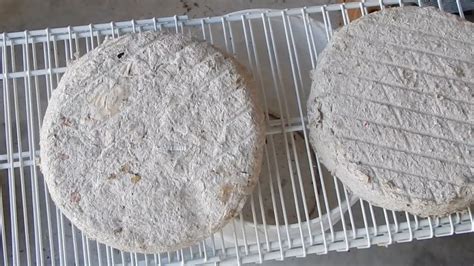 Image result for Using Paper Log Fire