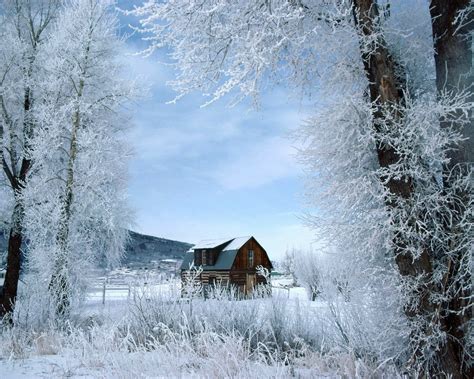 冬季早晨美丽的雪景和武松摄影图片_大图网图片素材