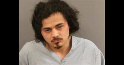 Gang member charged in shooting of unoccupied cop car in Chicago ...