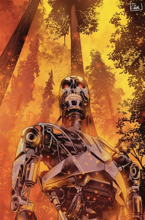 Image result for Terminator 1