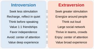 Image result for Extroversion