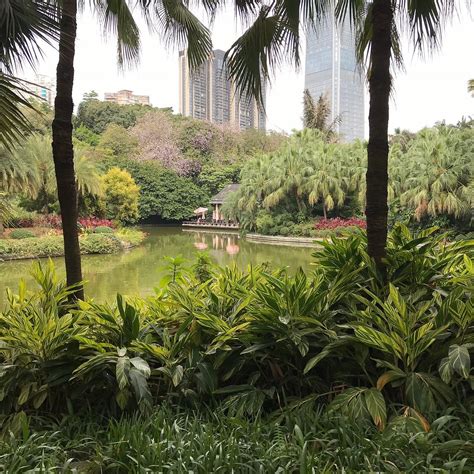 ZHUJIANG PARK (2025) All You Need to Know BEFORE You Go (with Photos ...