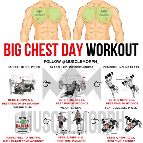CHEST DAY WORKOUT GYM BODYBUILDING MUSCLE MUSCLEMORPH | Chest day ...