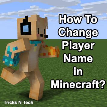 Image result for How to Turn Off Player Names in Minecraft Java