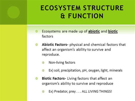 Image result for Ecosystem Structure and Function