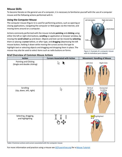 Image result for Computer Literacy Skills Examples