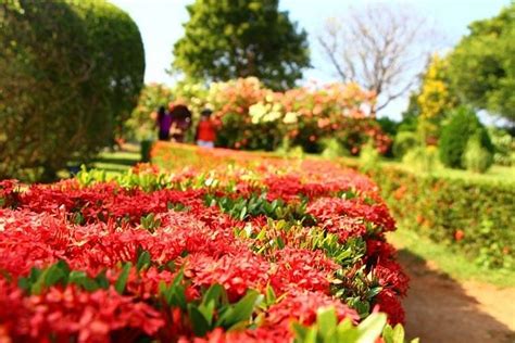 MIRIJJAWILA BOTANIC GARDENS - All You Need to Know BEFORE You Go (with ...