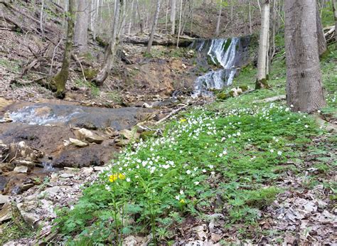 Meade County Recc Brandenburg