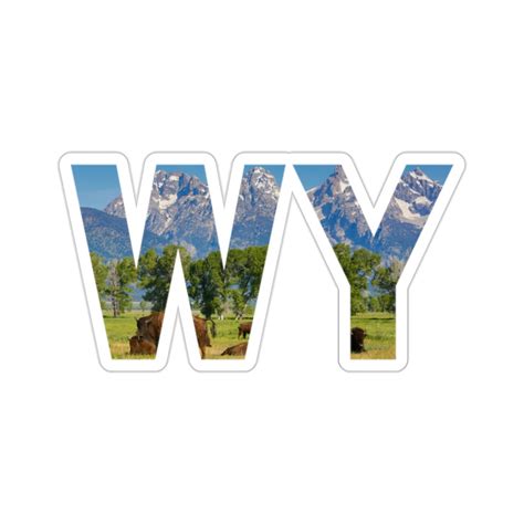 Wyoming State Abbreviation Sticker - Etsy