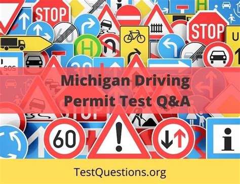 Michigan Driver's License Test 的图像结果