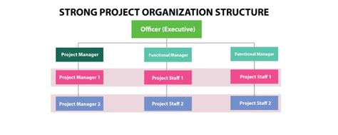 Image result for Implementation Project Organizational Structure