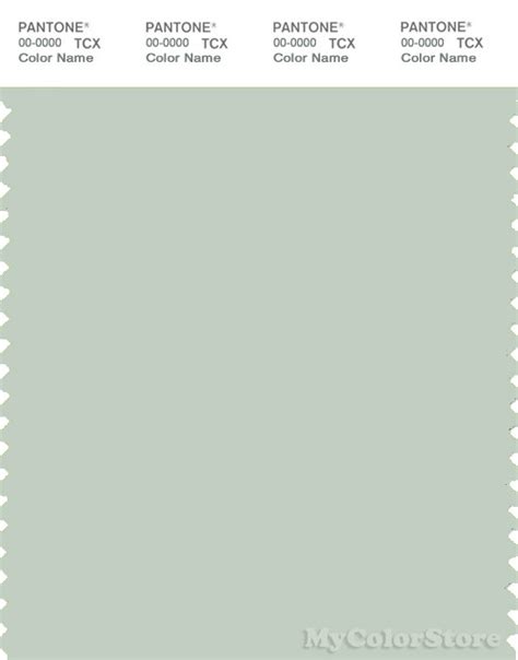 PANTONE SMART 13-6107 TCX Color Swatch Card | Pantone Green Lily