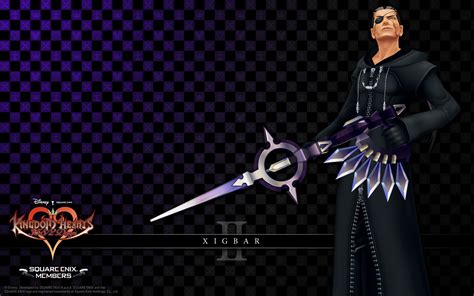 Kingdom Hearts Organization 13 Members | Kingdom hearts, Kingdom hearts ...