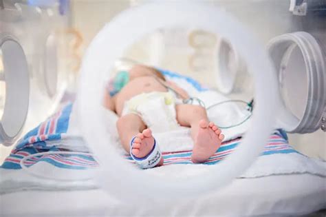 NICU Equipment: Essential Tools and What to Expect | Pampers IN