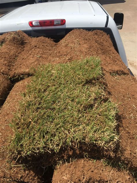 Pallet of sod – Artofit