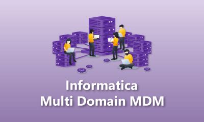Image result for Multi-Domain MDM Informatica